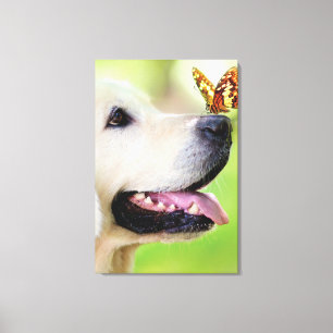 Labrador And Butterfly Throw Pillow Leinwanddruck
