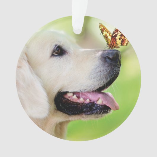 Labrador And Butterfly Throw Pillow Ornament (Vorderseite)
