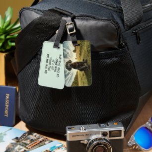 Labrador auf einem benutzerdefinierten Gepäckanhän Gepäckanhänger