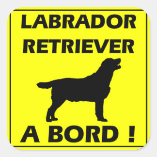 Labrador-Aufkleber Quadratischer Aufkleber