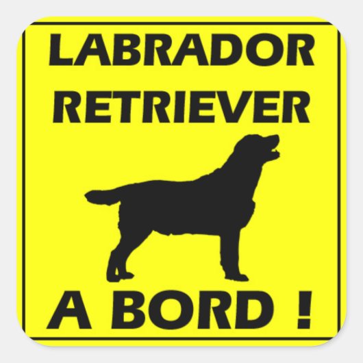 Labrador-Aufkleber Quadratischer Aufkleber (Vorderseite)