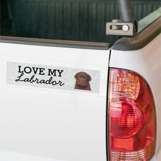 Labrador Autoaufkleber (Auf Lkw)