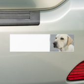 Labrador-Autoaufkleber Autoaufkleber (Auf Auto)