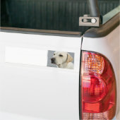 Labrador-Autoaufkleber Autoaufkleber (Auf Lkw)