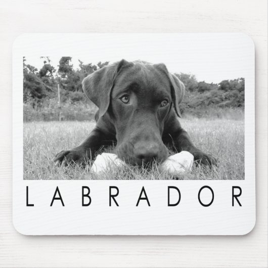 Labrador B&W Mousepad (Vorne)