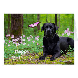 Labrador Black Dog Forrest Butterfly Geburtstag