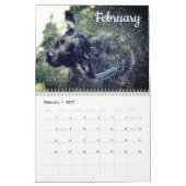 Labrador Custom Year Calendar Kalender (Feb 2027)
