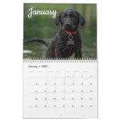Labrador Custom Year Calendar Kalender (Jan 2027)