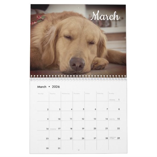 Labrador Custom Year Calendar Kalender (Mär 2026)