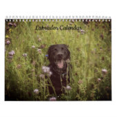 Labrador Custom Year Calendar Kalender (Titelbild)