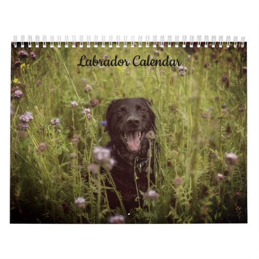 Labrador Custom Year Calendar Kalender (Titelbild)