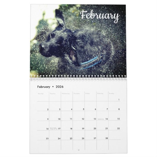 Labrador Custom Year Calendar Kalender (Feb 2026)