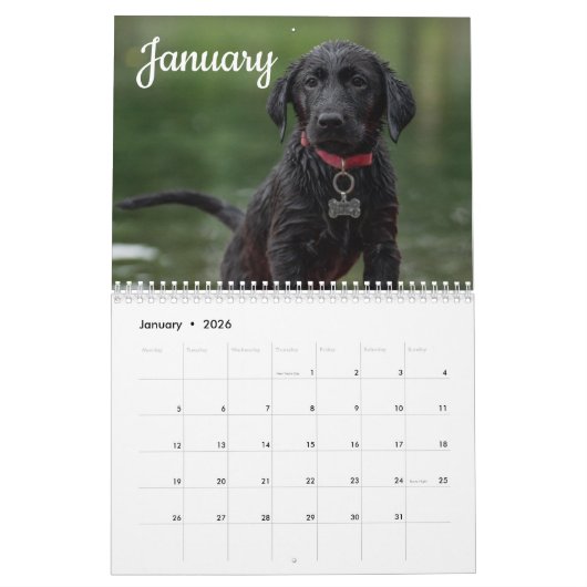 Labrador Custom Year Calendar Kalender (Jan 2026)