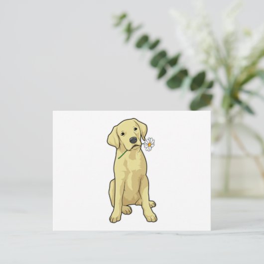 Labrador Daisy Postkarte (Stehend Vorderseite)