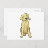 Labrador Daisy Postkarte (Vorne/Hinten)