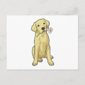 Labrador Daisy Postkarte (Vorderseite)