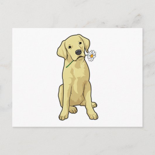 Labrador Daisy Postkarte (Vorderseite)