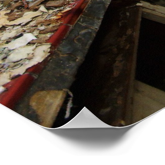 Labrador Decay Poster (Ecke)