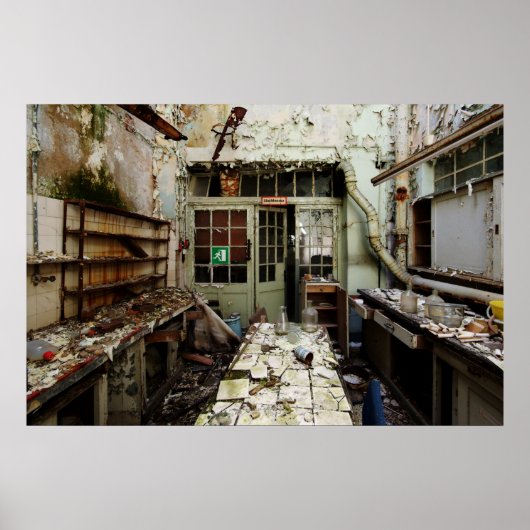 Labrador Decay Poster (Vorne)