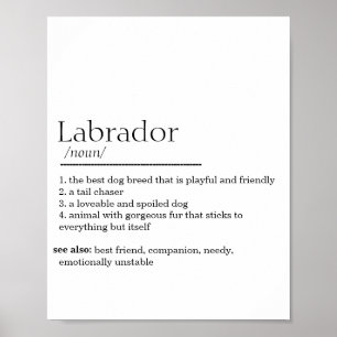 Labrador Definition  Poster