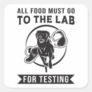 Labrador der Labrador zum Testen von Retriever Dog Quadratischer Aufkleber