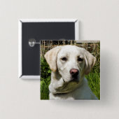 LABRADOR DOG BUTTON (Vorne & Hinten)