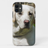 LABRADOR DOG Case-Mate iPhone HÜLLE (Rückseite)