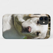 LABRADOR DOG Case-Mate iPhone HÜLLE (Rückseite (Horizontal))