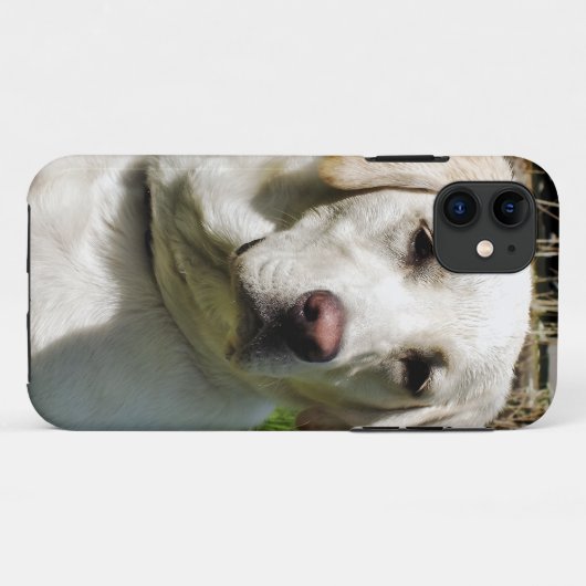 LABRADOR DOG Case-Mate iPhone HÜLLE (Rückseite (Horizontal))