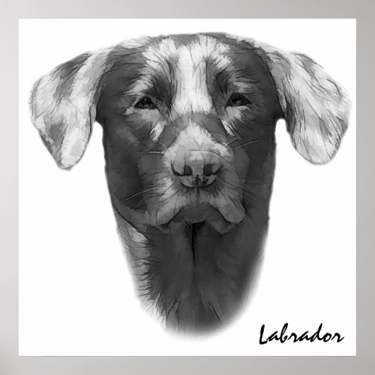 Labrador Dog Classic Poster (Vorne)