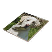 LABRADOR DOG FLIESE (Seite)