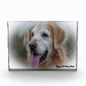 Labrador Dog Fotoblock (Vorderseite)