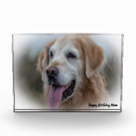 Labrador Dog Fotoblock