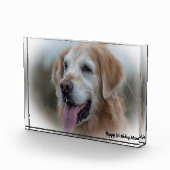 Labrador Dog Fotoblock (Rechts)