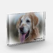 Labrador Dog Fotoblock (Links)
