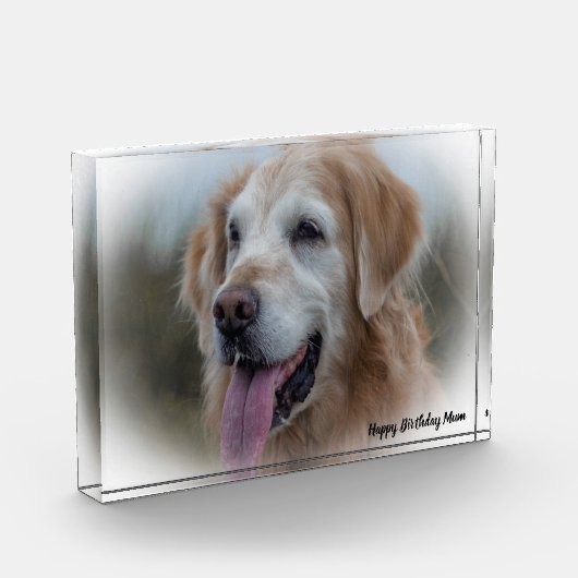 Labrador Dog Fotoblock (Links)