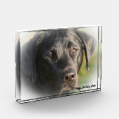 Labrador Dog Fotoblock (Links)