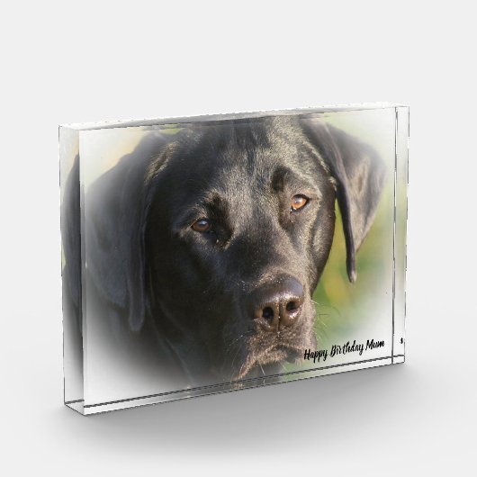 Labrador Dog Fotoblock (Links)