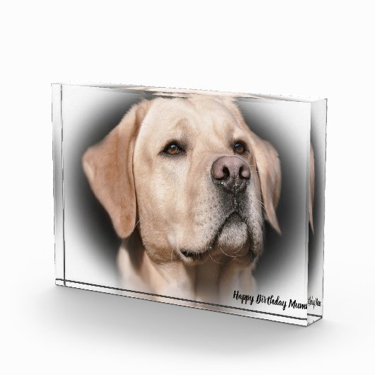 Labrador Dog Fotoblock (Rechts)