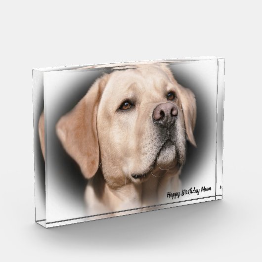 Labrador Dog Fotoblock (Links)
