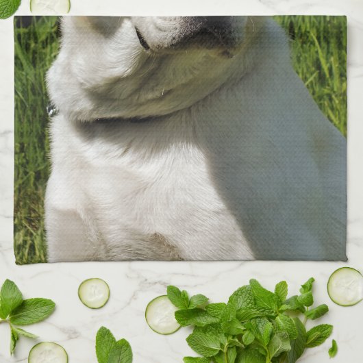 LABRADOR DOG HANDTUCH (Gefaltet)