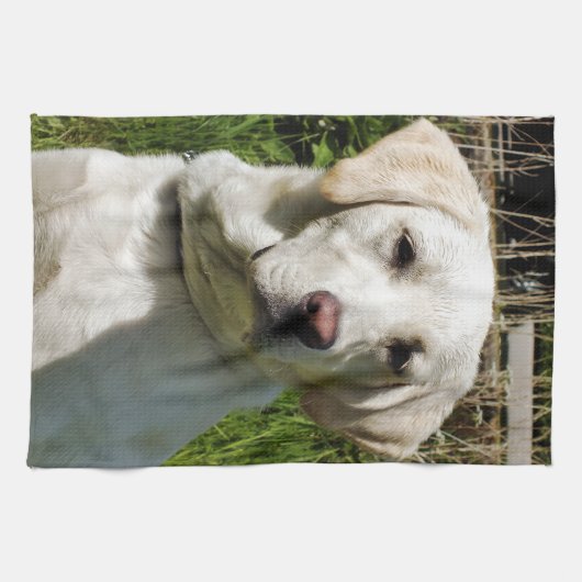 LABRADOR DOG HANDTUCH (Horizontal)