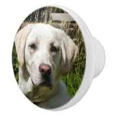 LABRADOR DOG KERAMIKKNAUF (Rechts)