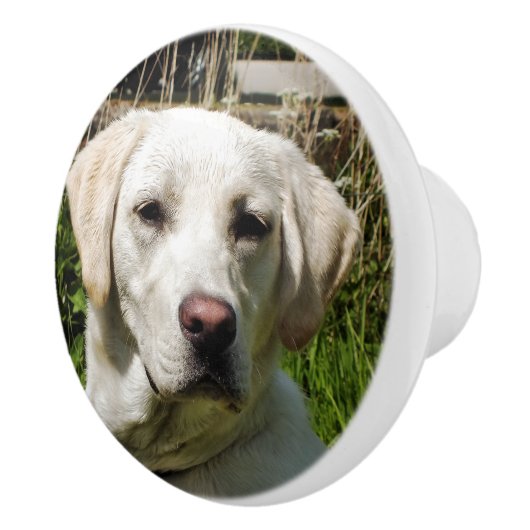 LABRADOR DOG KERAMIKKNAUF (Rechts)