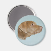 Labrador Dog Magnet (Vorderseite/Rückseite)