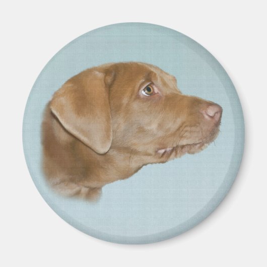 Labrador Dog Magnet (Vorne)