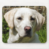 LABRADOR DOG MOUSEPAD (Vorne)