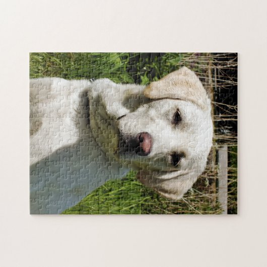 LABRADOR DOG PUZZLE (Horizontal)