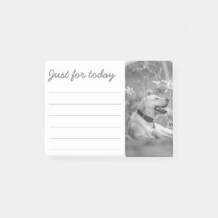 LABRADOR DOG RELAXING POST-IT NOTES KLEBEZETTEL