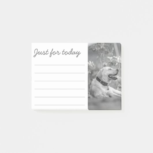 LABRADOR DOG RELAXING POST-IT NOTES POST-IT KLEBEZETTEL (Vorderseite)